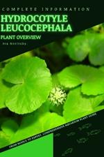 Hydrocotyle leucocephala: From Novice to Expert. Comprehensive Aquarium Plants Guide