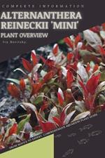 Alternanthera Reineckii 'Mini': From Novice to Expert. Comprehensive Aquarium Plants Guide