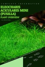 Eleocharis acicularis Mini (pusilla): From Novice to Expert. Comprehensive Aquarium Plants Guide