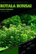 Rotala Bonsai: From Novice to Expert. Comprehensive Aquarium Plants Guide