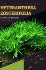 Heteranthera Zosterifolia: From Novice to Expert. Comprehensive Aquarium Plants Guide