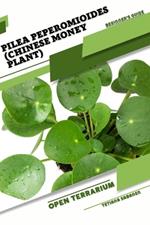 Pilea peperomioides (Chinese Money Plant): Open terrarium, Beginner's Guide