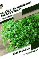 Soleirolia soleirolii (Baby's Tears): Open terrarium, Beginner's Guide