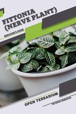 Fittonia (Nerve Plant): Open terrarium, Beginner's Guide