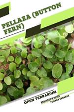 Pellaea (Button Fern): Open terrarium, Beginner's Guide