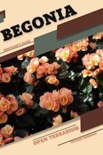 Begonia: Open terrarium, Beginner's Guide