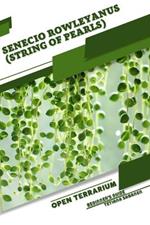 Senecio rowleyanus (String of Pearls): Open terrarium, Beginner's Guide
