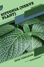 Fittonia (Nerve Plant): Open terrarium, Beginner's Guide