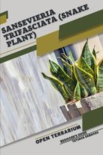 Sansevieria trifasciata (Snake Plant): Open terrarium, Beginner's Guide