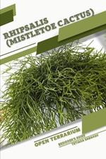 Rhipsalis (Mistletoe Cactus): Open terrarium, Beginner's Guide