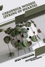 Ceropegia woodii (String of Hearts): Open terrarium, Beginner's Guide