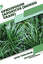 Ophiopogon japonicus (Mondo Grass): Open terrarium, Beginner's Guide