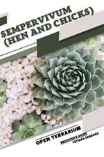 Sempervivum (Hen and Chicks): Open terrarium, Beginner's Guide