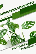 Monstera adansonii: Open terrarium, Beginner's Guide