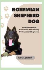 Bohemian Shepherd Dog: A Comprehensive Tutorial On The Training Of Bohemian Shepherds