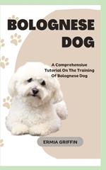 Bolognese Dog: A Comprehensive Tutorial On The Training Of Bolognese Dog