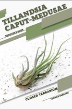 Tillandsia caput-medusae: Closed terrarium, Beginner's Guide