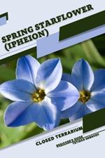Spring Starflower (Ipheion): Closed terrarium, Beginner's Guide