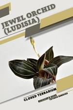 Jewel Orchid (Ludisia): Closed terrarium, Beginner's Guide
