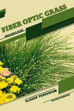 Fiber Optic Grass: Closed terrarium, Beginner's Guide