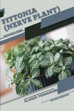 Fittonia (Nerve Plant): Closed terrarium, Beginner's Guide