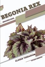 Begonia rex: Closed terrarium, Beginner's Guide