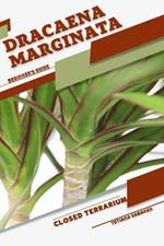 Dracaena marginata: Closed terrarium, Beginner's Guide