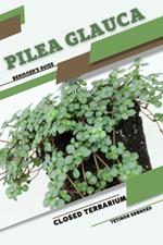 Pilea glauca: Closed terrarium, Beginner's Guide