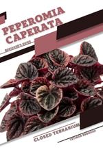 Peperomia caperata: Closed terrarium, Beginner's Guide