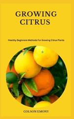 Growing Citrus: Healthy Beginners Methods For Growing Citrus Plants