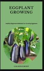 Eggplant Growing: Healthy Beginners Methods For Growing Eggplants