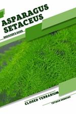 Asparagus setaceus: Closed terrarium, Beginner's Guide