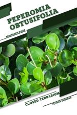 Peperomia obtusifolia: Closed terrarium, Beginner's Guide