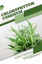 Chlorophytum comosum: Closed terrarium, Beginner's Guide