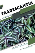 Tradescantia: Closed terrarium, Beginner's Guide