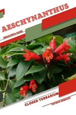 Aeschynanthus: Closed terrarium, Beginner's Guide