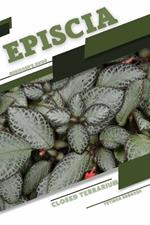 Episcia: Closed terrarium, Beginner's Guide