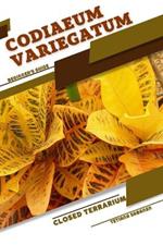 Codiaeum variegatum: Closed terrarium, Beginner's Guide