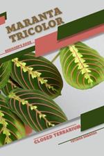 Maranta tricolor: Closed terrarium, Beginner's Guide