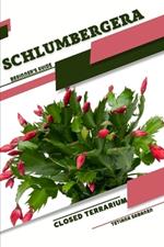 Schlumbergera: Closed terrarium, Beginner's Guide