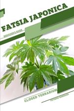 Fatsia japonica: Closed terrarium, Beginner's Guide