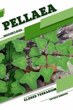 Pellaea: Closed terrarium, Beginner's Guide