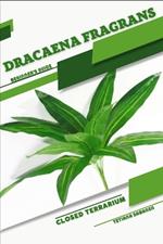 Dracaena fragrans: Closed terrarium, Beginner's Guide