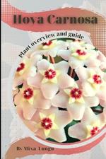 Hoya Carnosa: Plant overview and guide