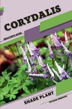 Corydalis: Shade plant Beginner's Guide