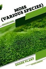 Moss (Various species): Shade plant Beginner's Guide