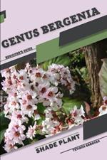 Genus Bergenia: Shade plant Beginner's Guide