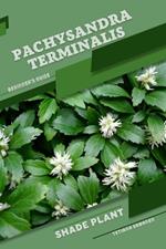 Pachysandra terminalis: Shade plant Beginner's Guide