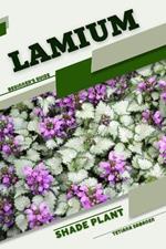 Lamium: Shade plant Beginner's Guide