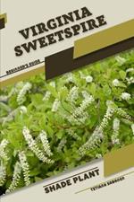 Virginia Sweetspire: Shade plant Beginner's Guide